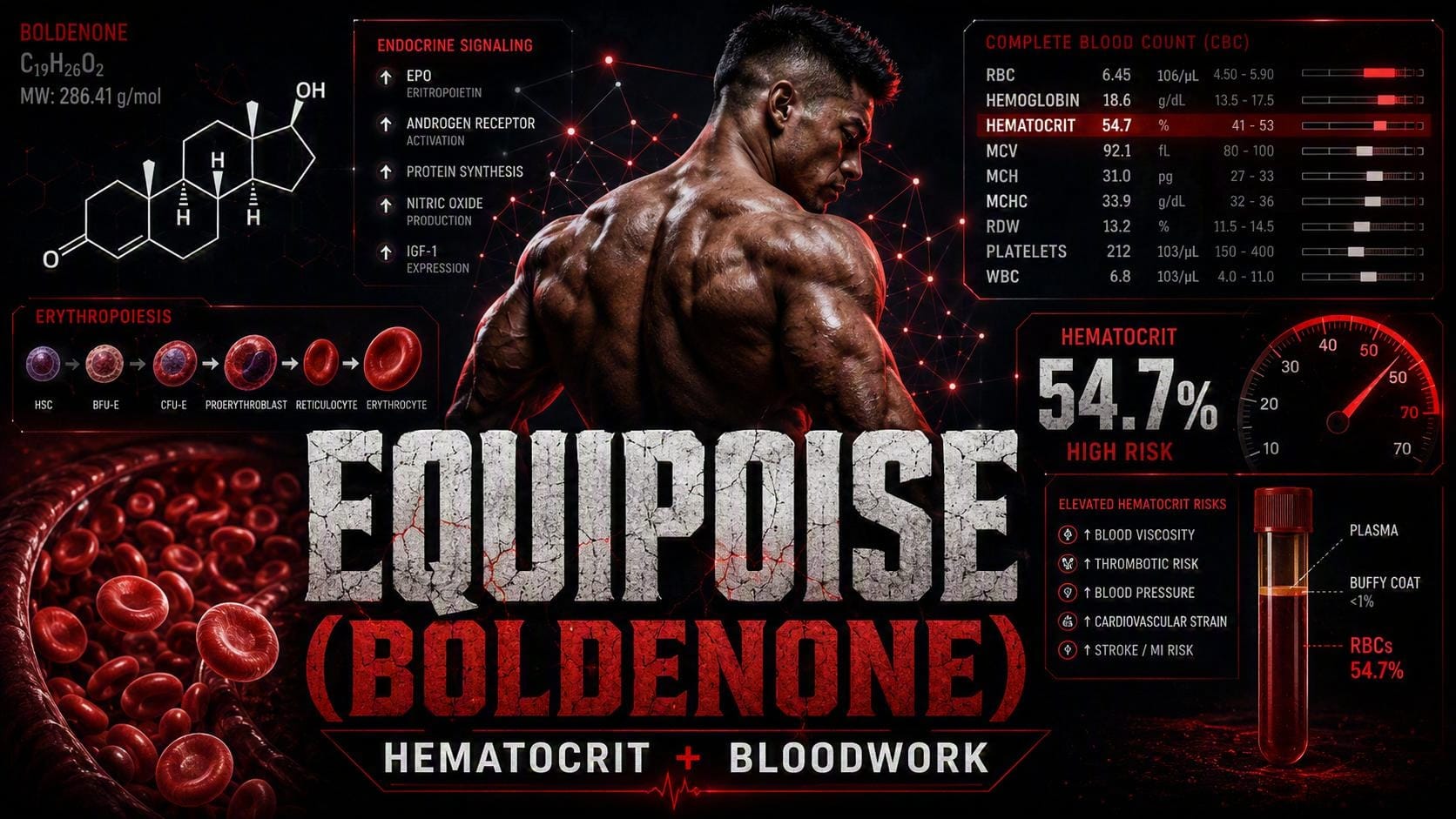Equipoise Boldenone guide