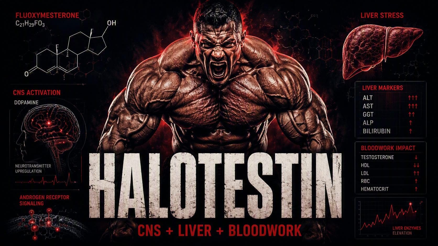 Halotestin Fluoxymesterone guide