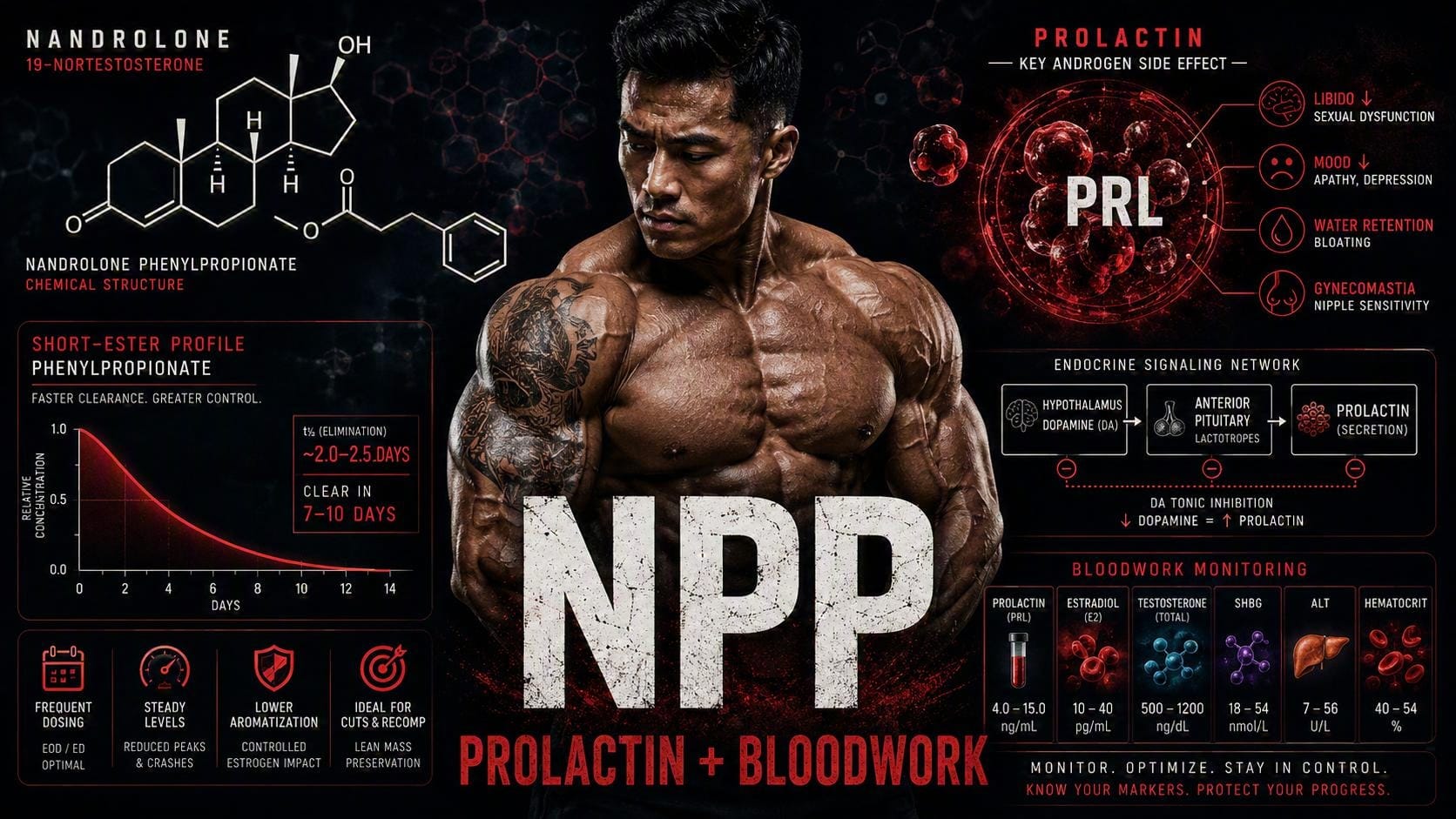 NPP Nandrolone Phenylpropionate guide