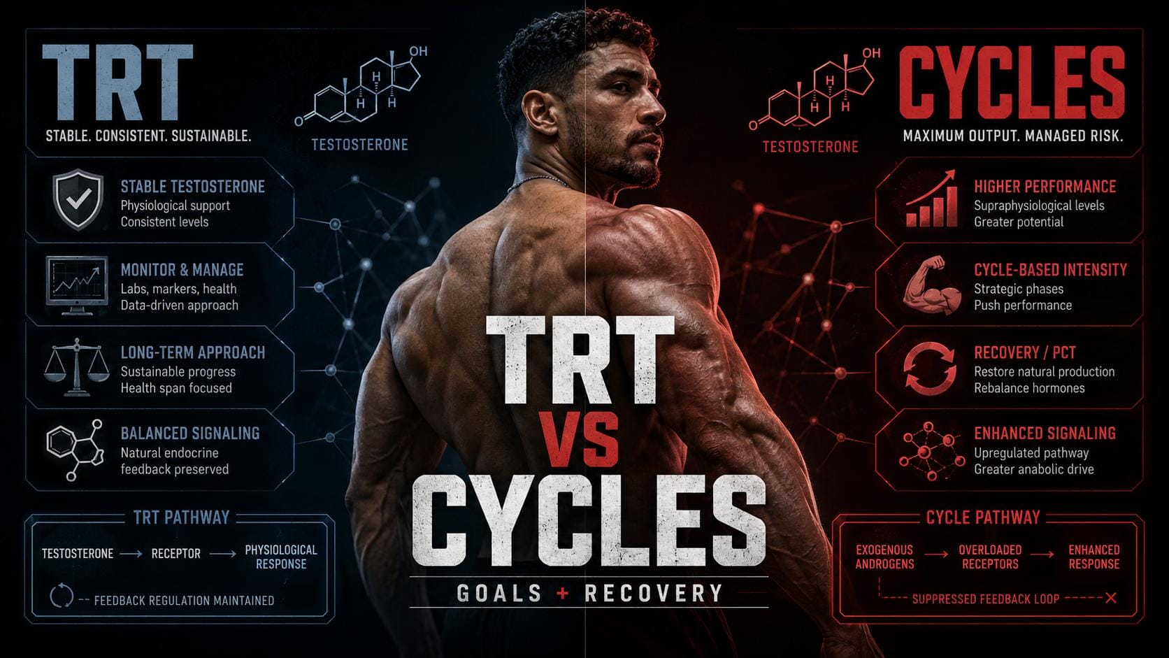 TRT vs Steroid Cycles