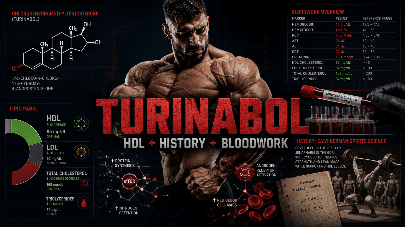 Turinabol guide