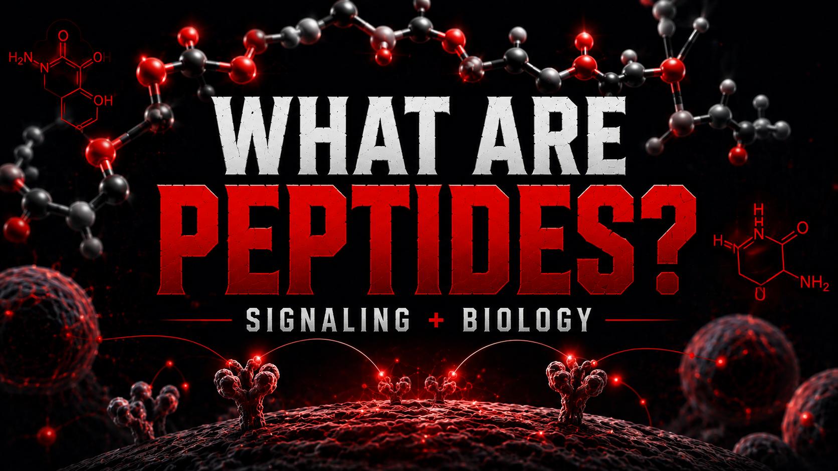 What Are Peptides