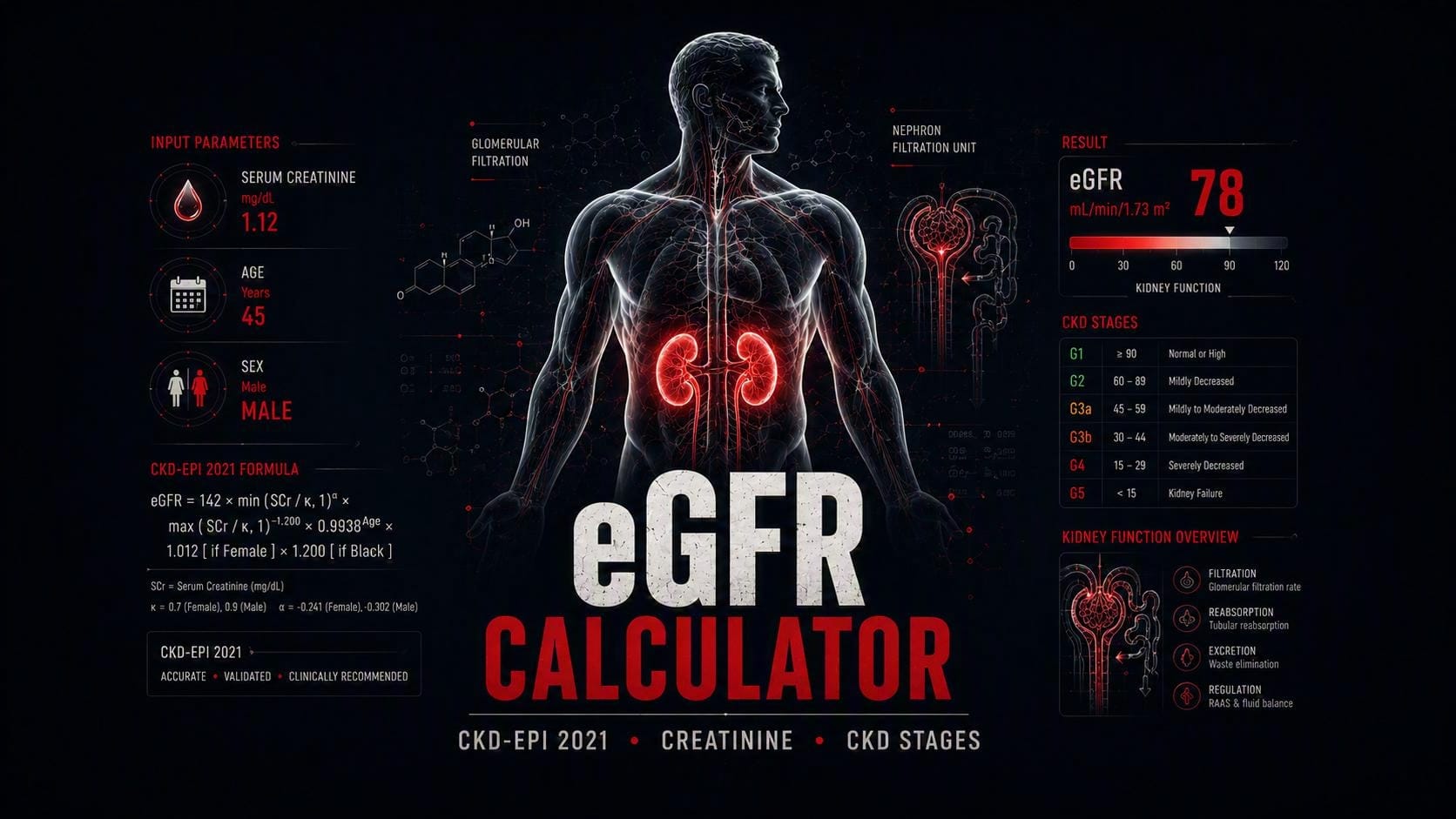 eGFR calculator using the CKD-EPI 2021 formula to estimate kidney function from creatinine age and sex