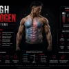 High estrogen symptoms on steroids showing hormone imbalance estradiol pathway and endocrine system visualization